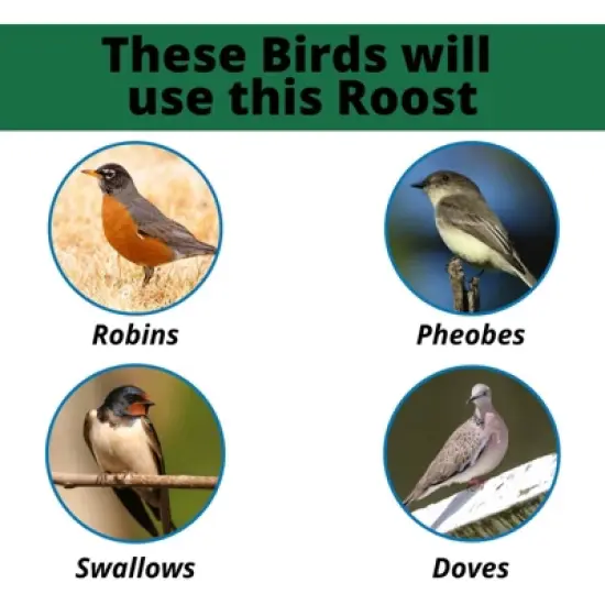 JCS Wildlife Modern Style Cedar Robin Roost with Poly Lumber Roof image {5}