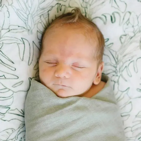 Red Rovr Organic Cotton Muslin Swaddle Blanket - 2pk image {1}