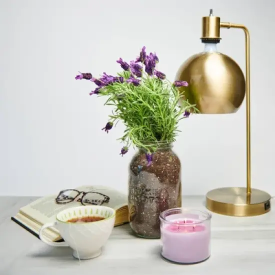 Back to the Roots Organic Lavender Grow Kit image {2}