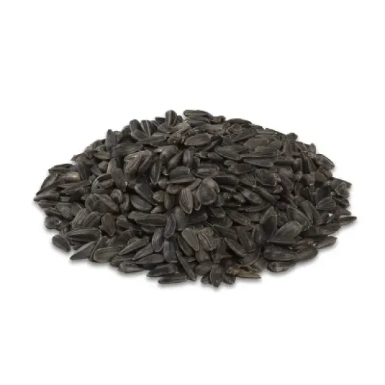 Audubon Park 10lb Black Oil Sunflower Wild Bird Food: Energy-Rich, Easy-to-Open Seeds, Attracts Variety image {2}
