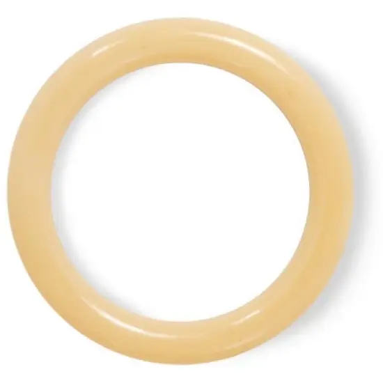 Nylabone Dura Chew Original Dog Ring - Chicken Flavor image {1}