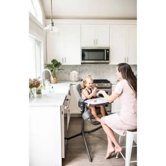 Baby Delight Levo Deluxe Adjustable High Chair image {6}