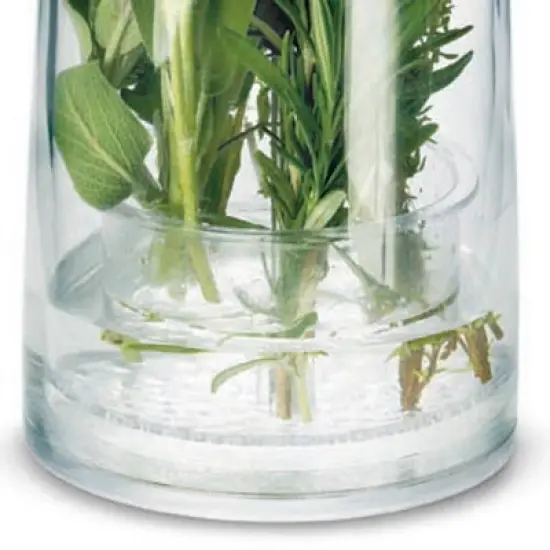 Cuisipro Original Herb Keeper Keeps Herbs Fresh Storage Container image {3}