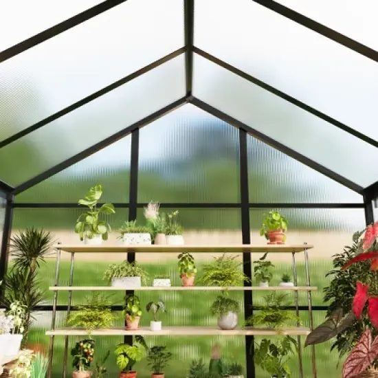 Garvee Walk-In Greenhouse with Polycarbonate Panels, Aluminum Frame, Quick Setup, Roof Vent, Outdoor Garden Greenhouse image {8}