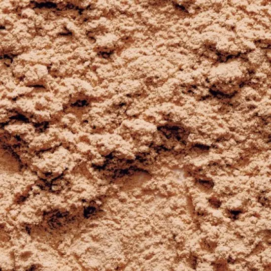 BLK/OPL True Color Oil-Control Loose Powder - Invisible - 1oz image {1}