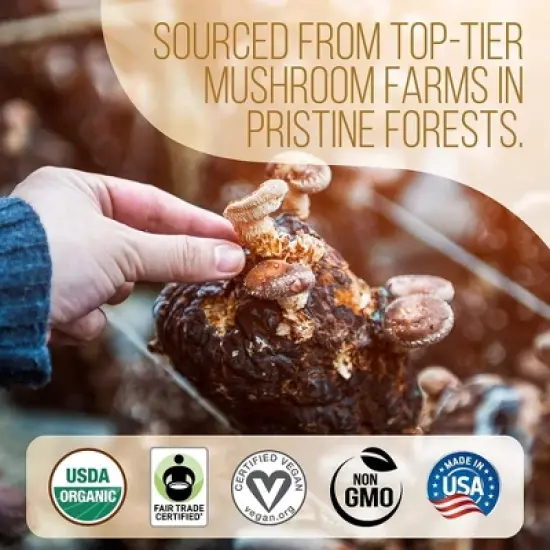 La Republica Bestselling Ground Mushroom Coffee with 7 Super Food Mushrooms, Certified Organic & Fair Trade Arabica Coffee - Medium Roast, 60 Servings image {3}