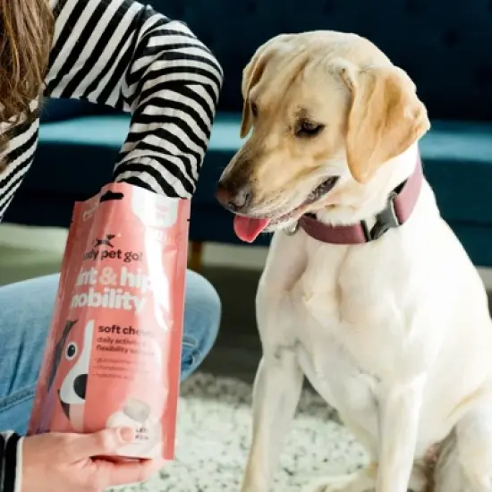 Ready Pet Go Joint & Hip Mobility Chews for Dogs, With Glucosamine Chondroitin MSM, Turmeric & Hyaluronic Acid, Grilled Chicken Flavor, 60 or 90ct image {3}