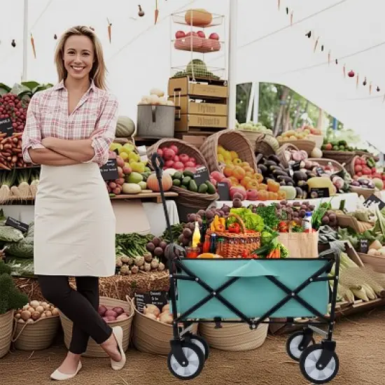 Minimeetall Multi-use Bag,Collapsible Foldable Wagon Cart Beach Wagon Heavy Duty Utility Cart Utility Wagon Grocery Cart green image {6}