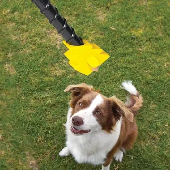 Brightkins Magic Wand Bolt Treat Dog Toy Dispenser image {5}