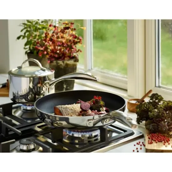 Scanpan Haptiq Stainless Steel Nonstick 10.25-Inch Fry Pan image {3}