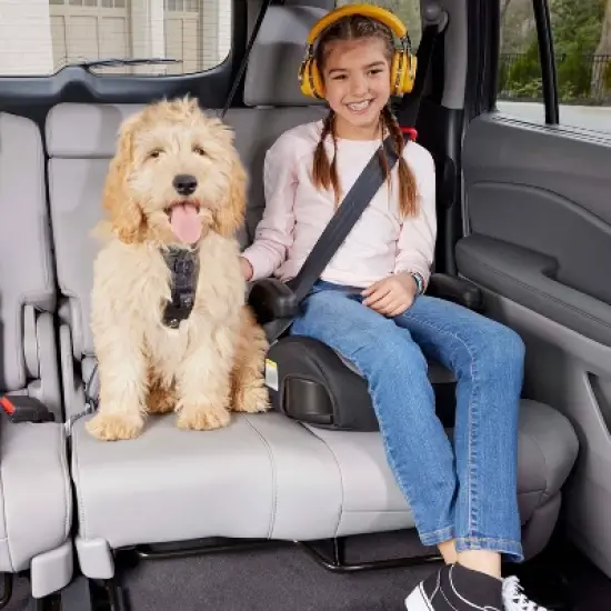 Graco Turbobooster 2.0 Backless Booster image {2}