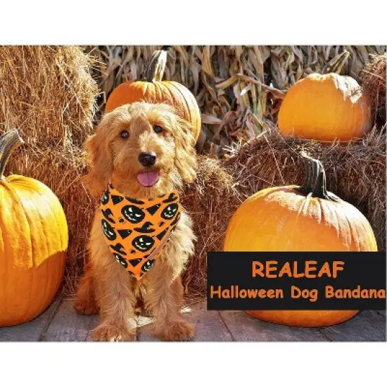 Halloween Dog Bandanas 2 Pack, Pumpkin and Spider Web Bibs, Triangle Reversible Fall Pet Scarf, Premium Durable Fabric, Adjustable Fit image {5}