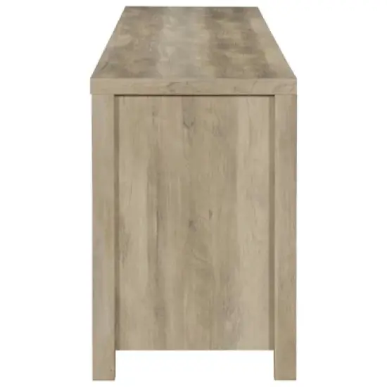 Madra Barn Door TV Stand for TVs up to 85" - Coaster image {10}