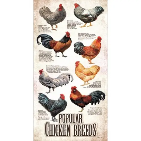 Sunsout Popular Chicken Breeds 500 pc Jigsaw Puzzle 66409 image {5}
