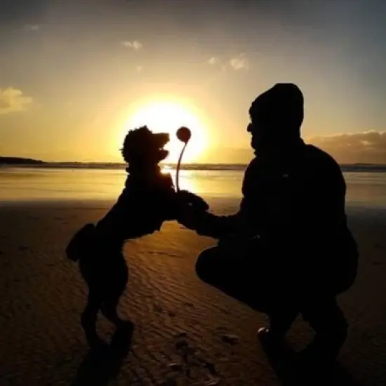 Chuckit Classic Ball Launcher - Medium (18") image {2}