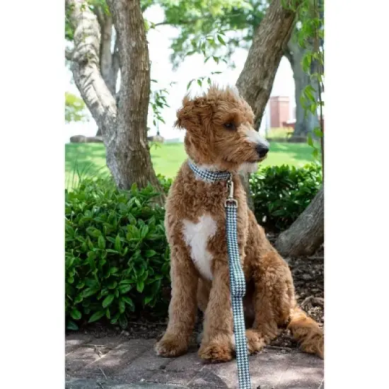 Country Brook Petz Martingale Collar and Leash - Sports and Athletics Collection image {1}