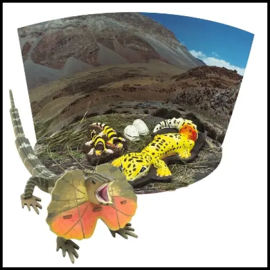 WILD! Environmental Science Amazing and Bizarre Lizards of the World image {3}