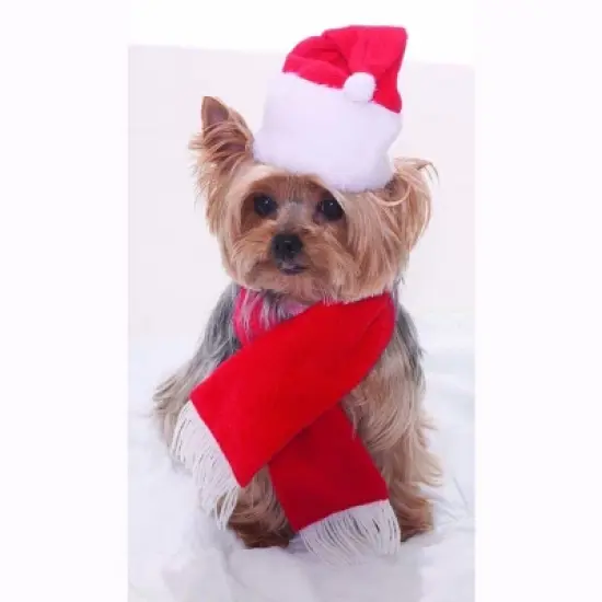 Forum Novelties Santa Christmas Pet Costume image {1}