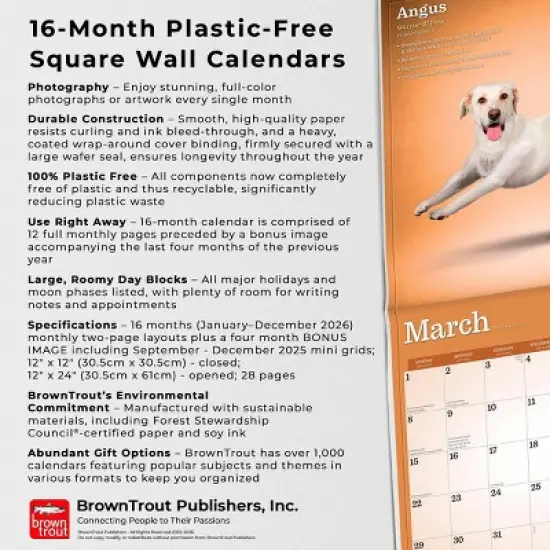 BrownTrout Yoga Dogs 2026 12"x24" Hanging Square Wall Calendar Plastic-Free image {5}