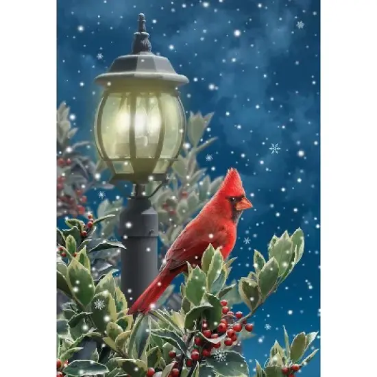 Briarwood Lane Winter Garden Flag 18x12.5 For Outdoor Winter Solitude Cardinal Garden Flag Flag For Winter Garden Flag Flags For Outside image {2}