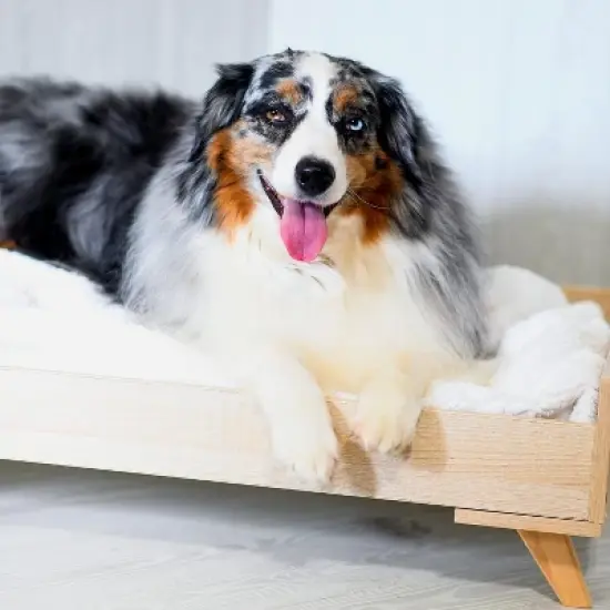 Midlee Raised Wooden Dog Bed Frame- Small image {1}