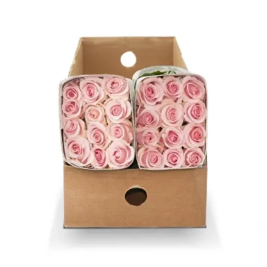 Fresh Cut 50-stem Pink Roses image {2}