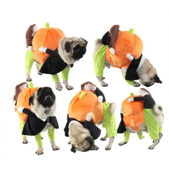 Pet Life 'Pumpkin Mon' Dog Pumkin Carrying Halloween Dog Costume, LG image {1}