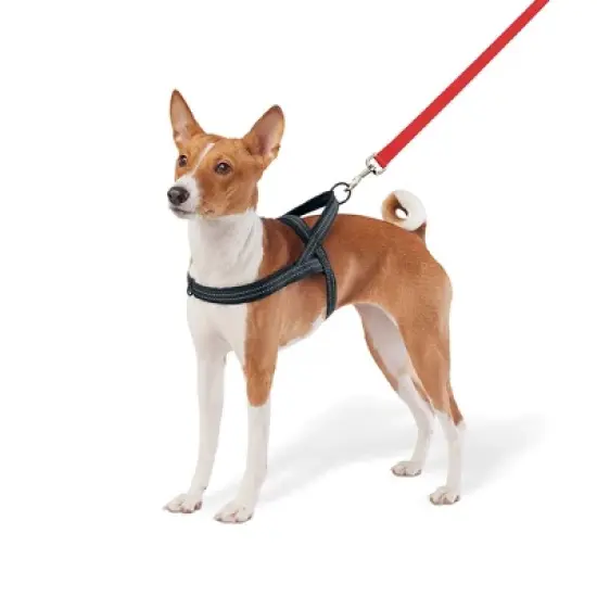 No Pull Comfort Dog Harness - Boots & Barkley&trade; image {3}