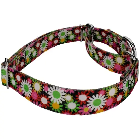 Country Brook Petz Daisy Fields Martingale Dog Collar image {5}