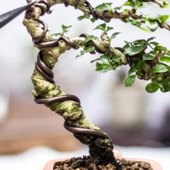Unique Bargains Aluminum Anodized Flexible Floral Stem Bonsai Training Wire image {4}