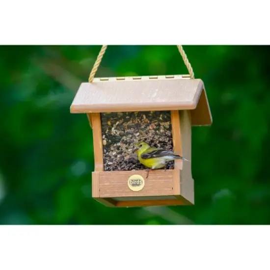 Bird Choice Small Modern Farmhouse Hopper Bird Feeder 7" Natural Teak Brown image {5}