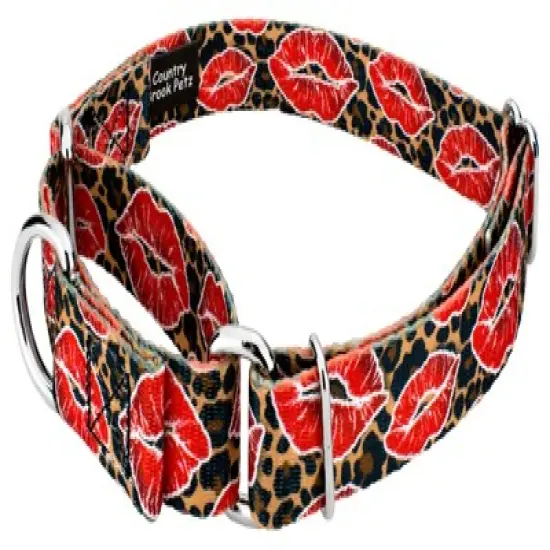 Country Brook Petz Cheetah Kisses Martingale Dog Collar image {1}