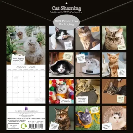 The Gifted Stationery 2025 Square Wall Calendar, Cat Shaming, 16-Month Humor Theme with 180 Reminder Stickers (12 x 12 In) image {3}