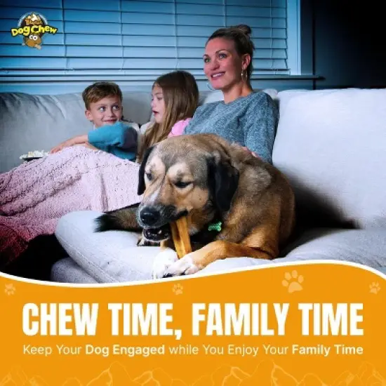 Tibetan Dog Chew Yak Cheese Dog Chew - Medium 2 Sticks image {10}