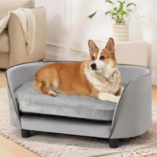 Modern Pet Sofa Bed for Small to Medium Dogs & Cats image {2}