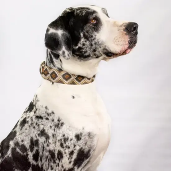 Country Brook Petz - Rattlesnake Martingale Dog Collar image {6}