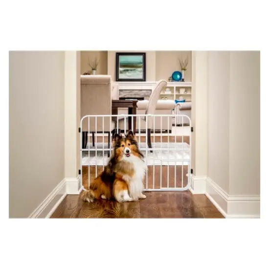 Carlson Expandable Gate with Small Dog Door - White image {3}