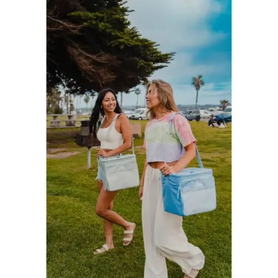 Arctic Zone Essentials 24 Cans Hard Sided Cooler image {11}