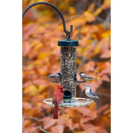 Brome Tube Solution 150 Wild Bird Feeder, 2.6-Pound Seed Capacity, Clear image {2}