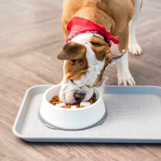 IRIS USA Slow Feeding Bowl for Pets image {2}