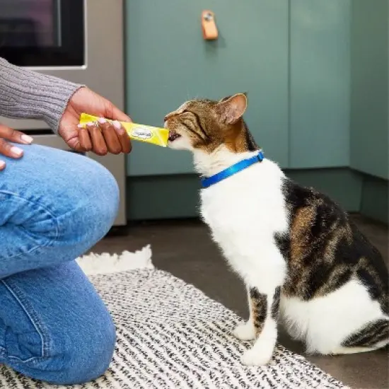 Temptations Creamy Puree with Chicken Lickable Squeezable Adult Cat Treats image {3}