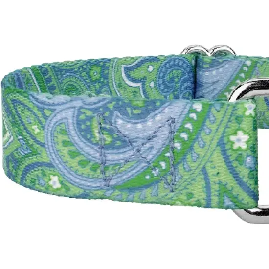 Country Brook Petz Martingale Collar and Leash - Paisley Collection image {5}