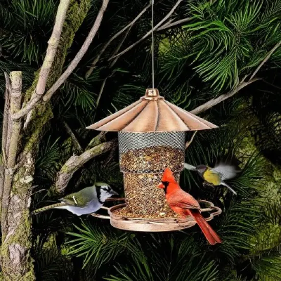 phiestina Bird Feeder with Lid, Heavy-Duty Metal, Petals-Shaped Roof, 360&deg; Feeding Ports, Bronze image {5}