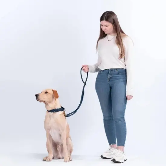 AWOO City Multifunctional Recycled Dog Leash - 5ft image {3}