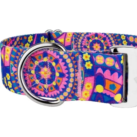 Country Brook Petz HossFit Jr Wide Premium  Dog Collar - Groovy Collection image {4}