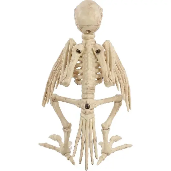 Seasons USA Parrot Skeleton Prop Halloween Decoration - 7.6 in x 7.5 in x 4.6 in - Off-White image {1}