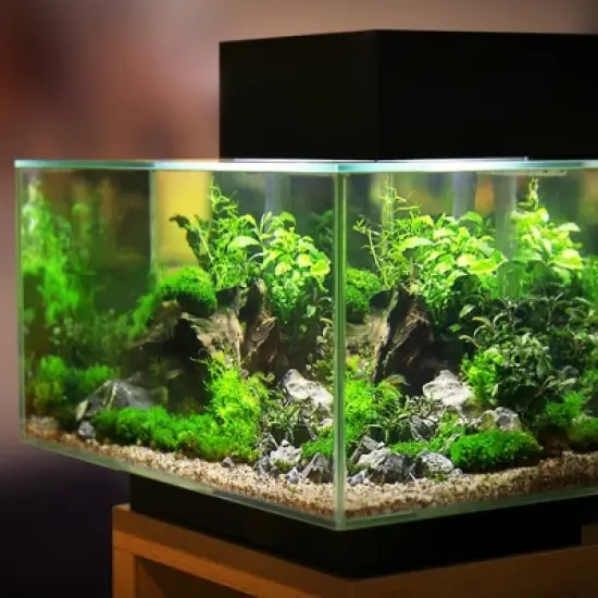 Unique Bargains Double-sided Aquarium Fish Tank Background Poster 1 Pc image {5}