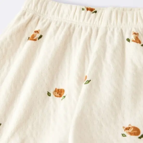 Baby Boys' 2pc Cozy Fox Top & Bottom Set - Cloud Island&trade; image {2}