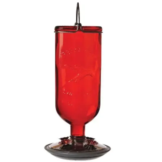 Perky-Pet Hummingbird 16 oz Glass/Metal/Plastic Nectar Feeder 4 ports (Case of 2) image {1}