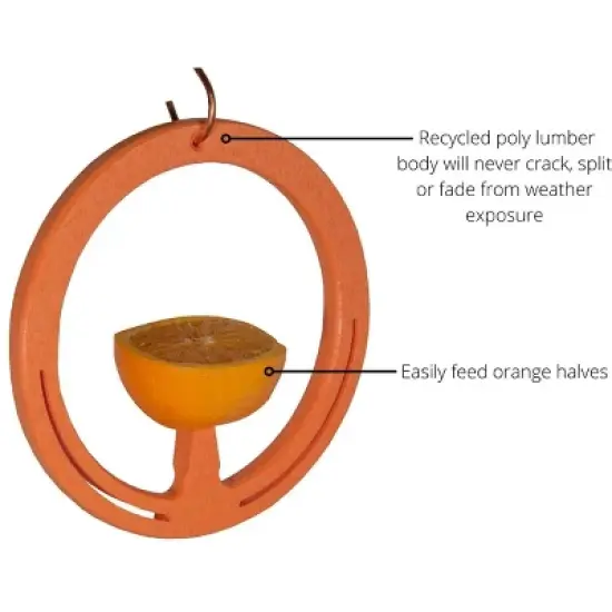 JCS Wildlife Spike Oriole Orange Fruit Feeder - Holds Orange Halves - Feed Your Orioles Fruit - Clementine Oriole Feeder, Oriole Orange Holder - Made image {3}